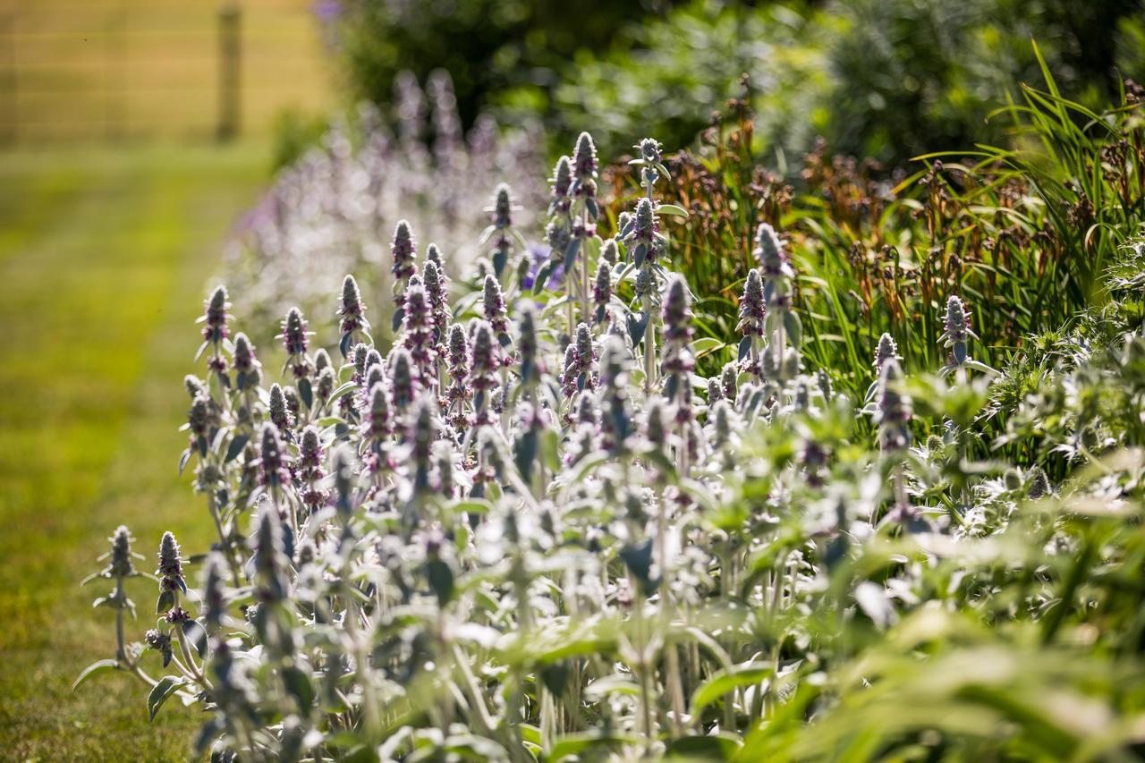 Goldsborough Hall ناريسبورو المظهر الخارجي الصورة